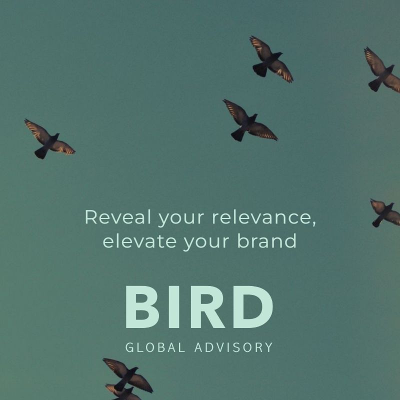 Bird Global Advisory Bird Global place marketing advisory by Mary Harris