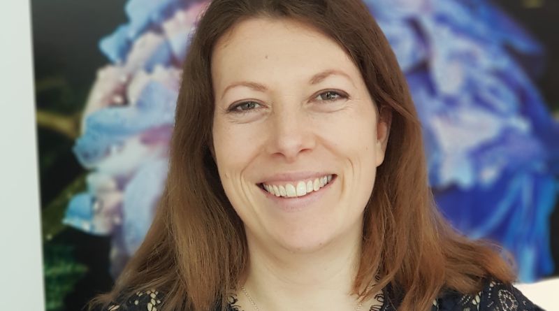 Mary Harris place marketing consultant, director Bird Global Advisory - profile